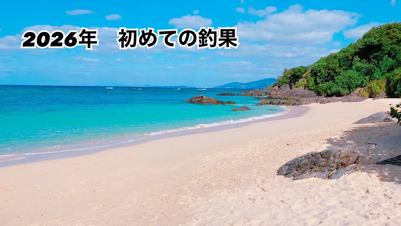 2026年2月24日
