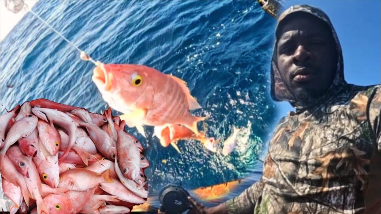 OFFSHORE  FISHING USING KINGFISH FOR BAIT