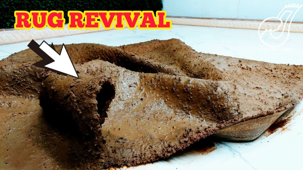You won't believe the amazing results of this rug cleaning!|satisfying  asmr