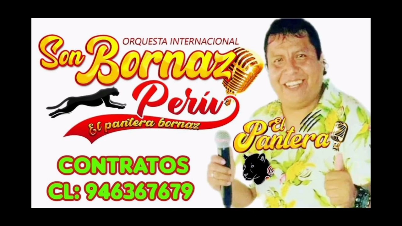mix campesinos (cover) PANTERA BORNAZ  BURRITO RESTAURANTE