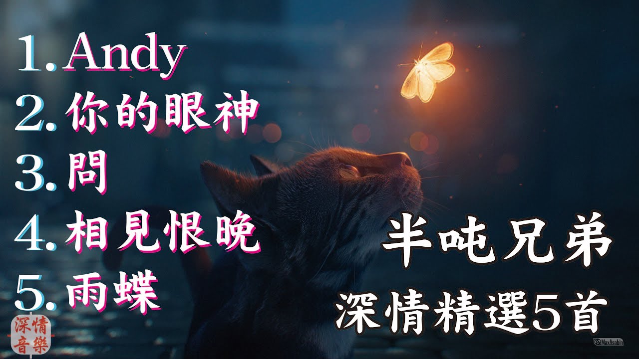🔄深情精選情歌🔄 半噸兄弟5首翻唱特輯1 『Andy / 你的眼神 / 問 / 相見恨晚 / 雨蝶』【動態歌詞Lyrics】