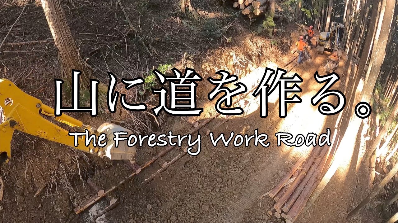 壊れにくい道つくり。道の山側を緑化する工事　山留め工　豊永林業
