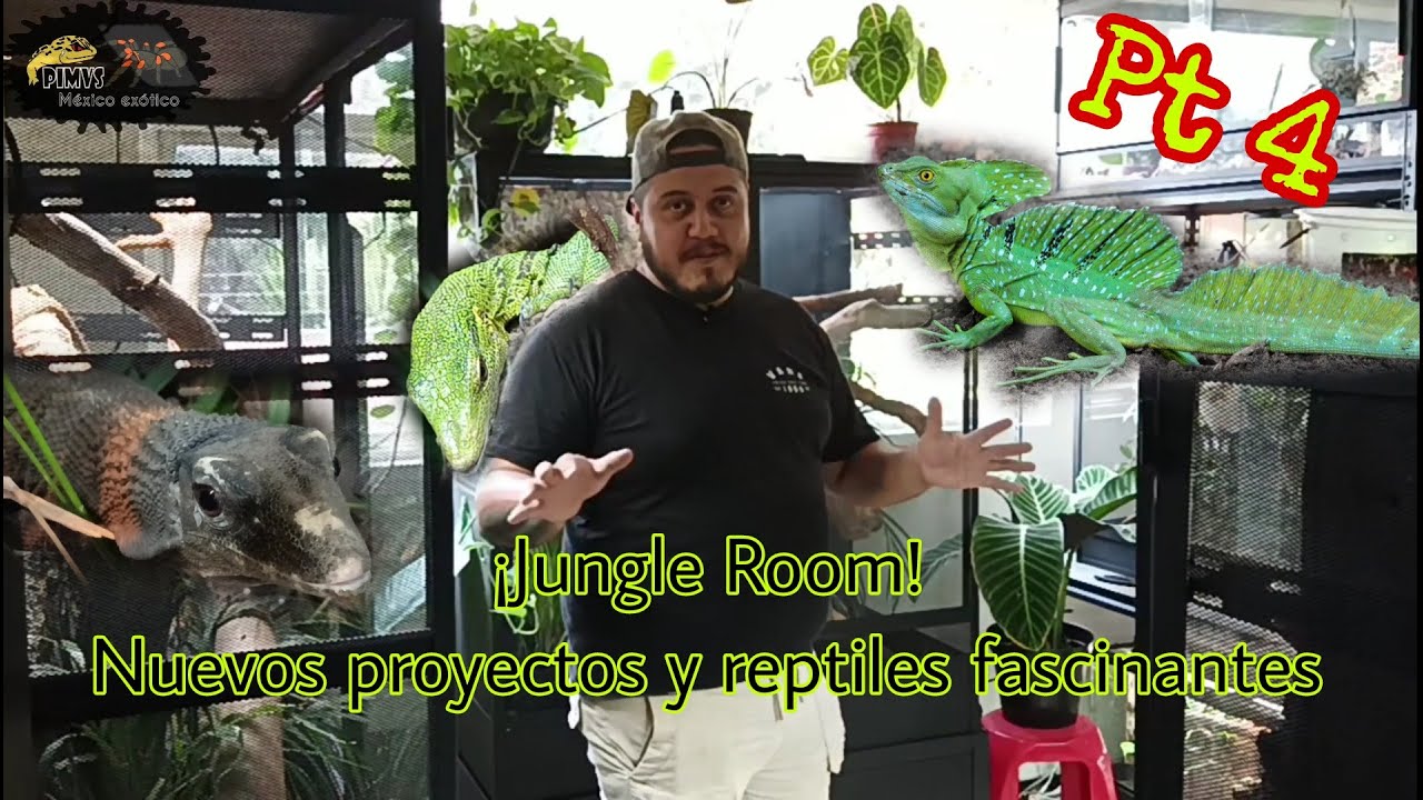 El Jungle Room de Charly Rock y sus nuevos proyectos Pt  4