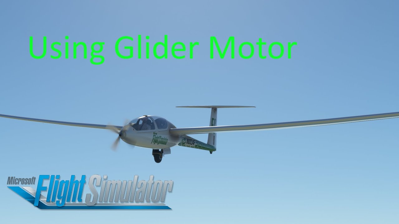Basics for using the glider engine DG1001E Neo MSFS