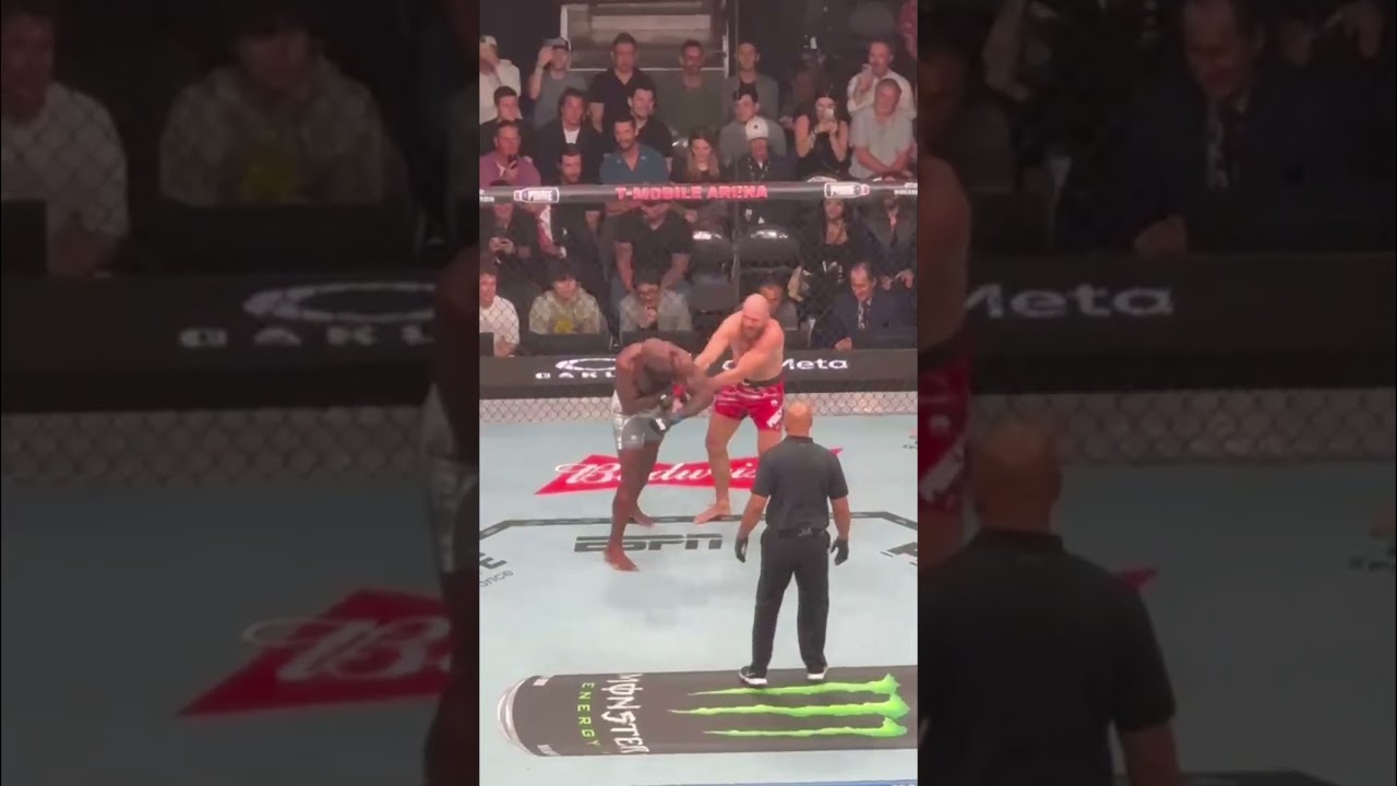 UFC 320 - Jiri prochazka Vs Khalil rountree / #ufc #jiř&iacute;proch&aacute;zka #mma #ufc320 #fight #knockout
