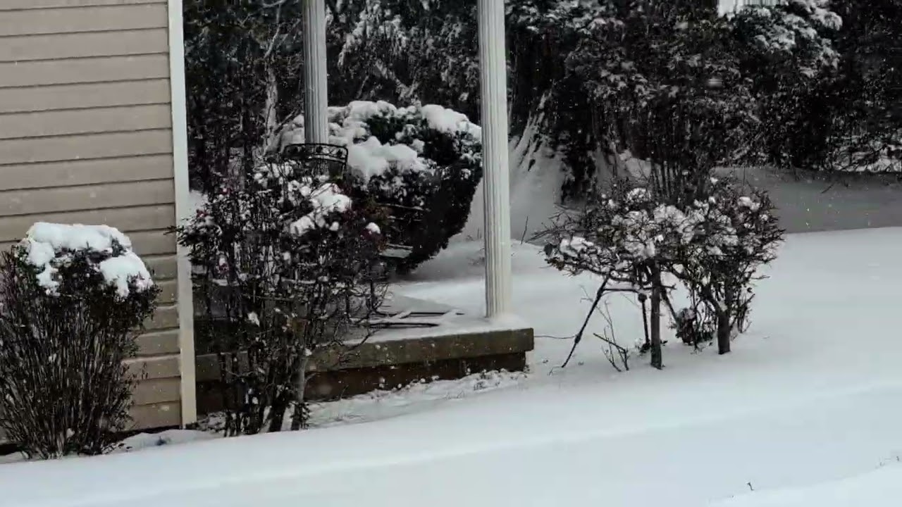 The Snowstorm of 2026 in South Carolina at Home 01/31/2026...