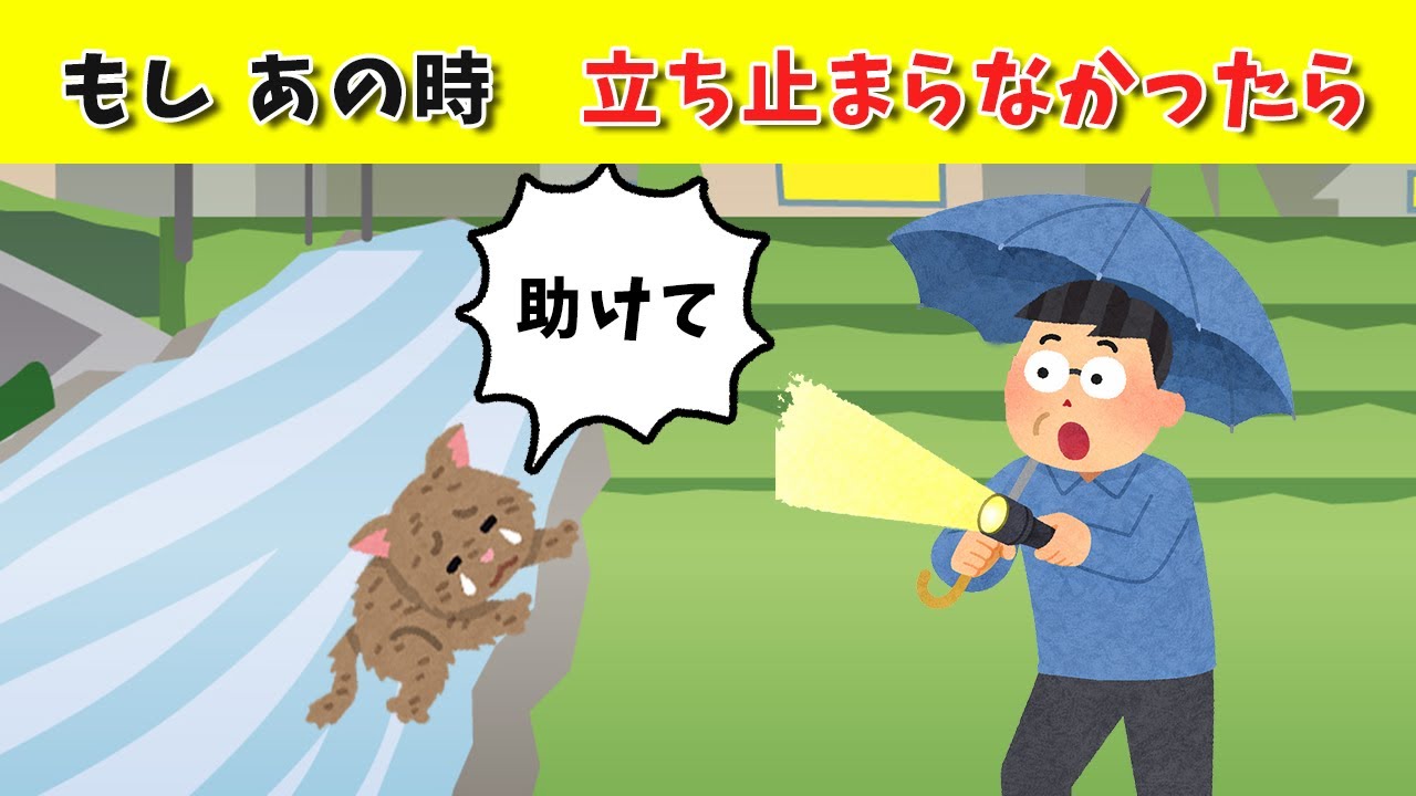 雨の用水路で助けた命はソファの真ん中で眠っている #保護猫, #救出, #感動,