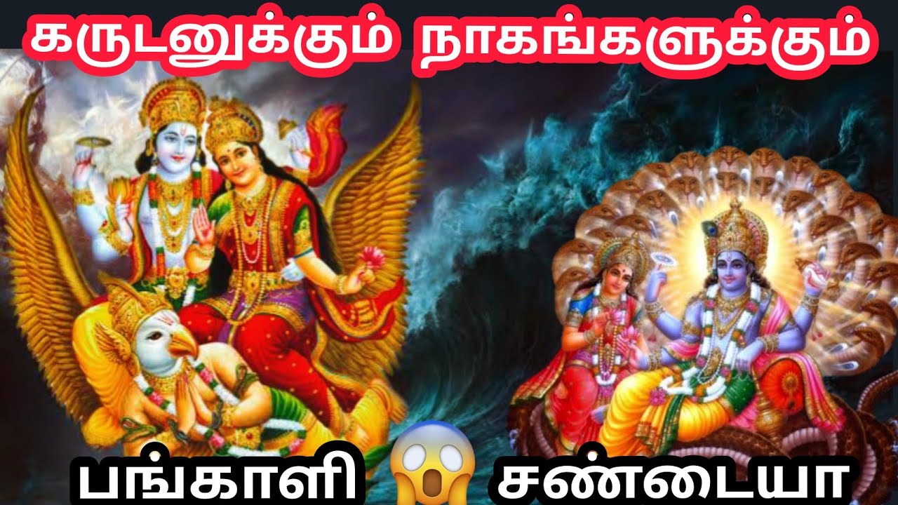 நாகங்களுக்கும் கருடனுக்கும் என்ன யுத்தம் | கருடன் பிறந்த கதை |   Snakes vs eagle real fight
