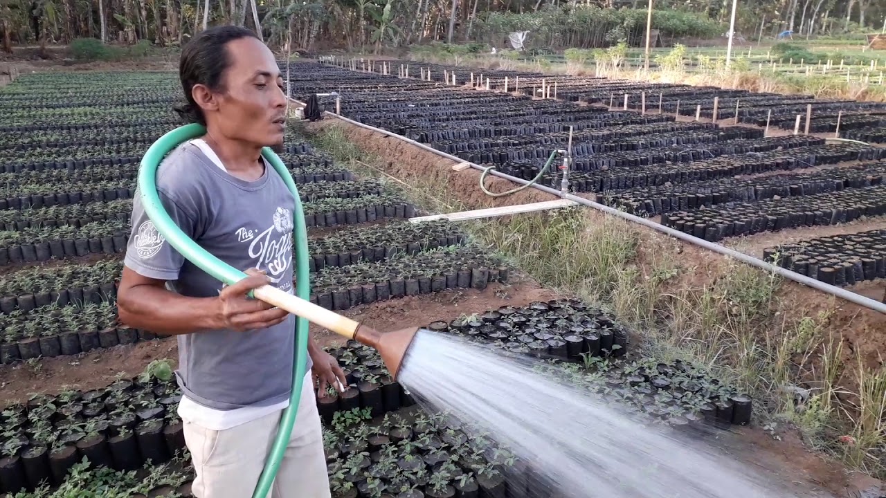 PENJELASAN SELANG SPREYER CEPOR YG DI SAMBUNGKAN KE SELANG