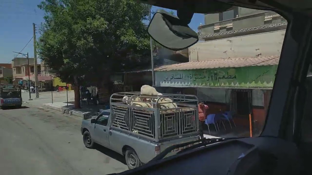 بلدية صالح باي شمال شرق الجزائر جنوب مدينة سطيف الجزائرية في الجهة الشرقية من إقليم الهضاب العليا،