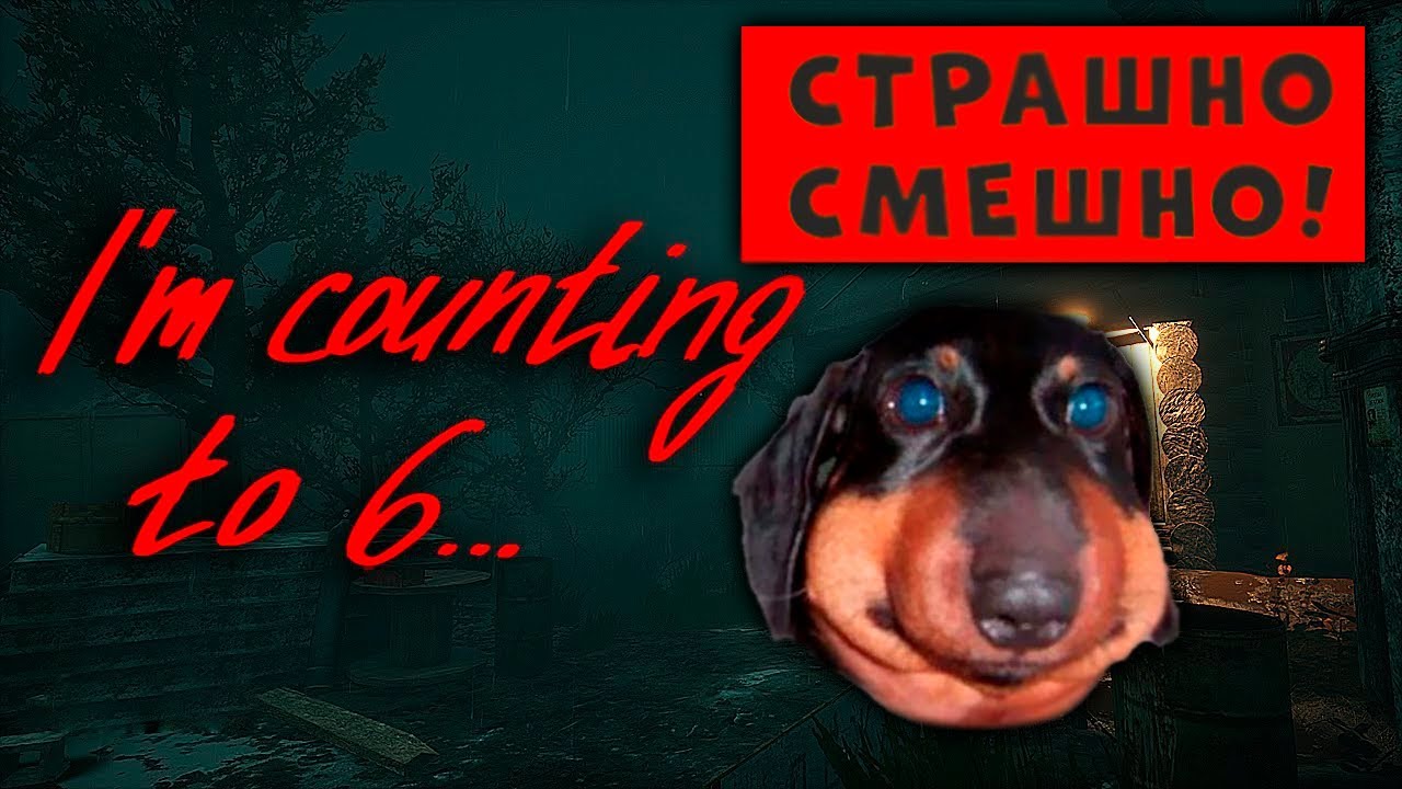 Давг считает до 6, страшно смешно (I'm counting to 6...)