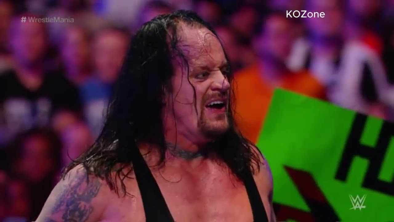 The Undertaker vs WWE Finishers | Who Dominated? 💀🔥