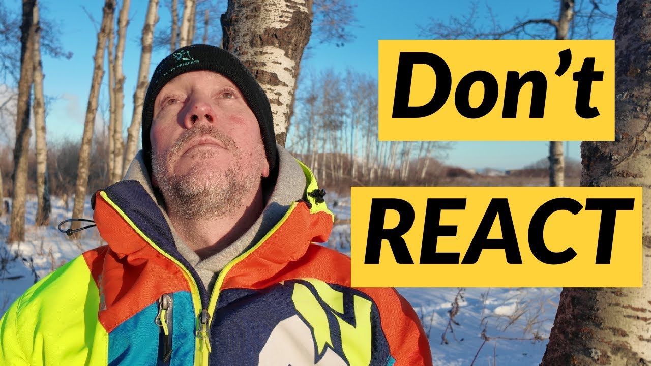 How to Stop Reacting When Your Co-Parent Tries to Trigger You (Stay Calm & In Control)