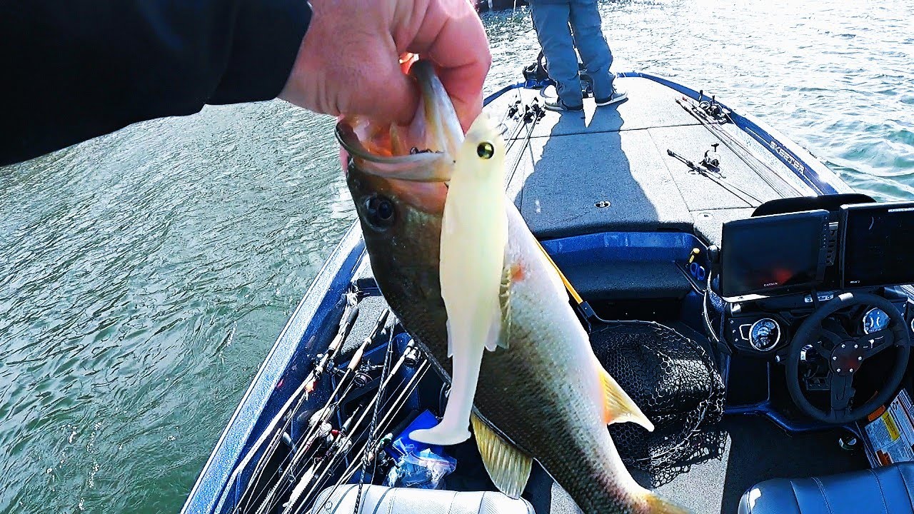 Winter Bass Fishing in HOT Water (Nuclear Power Plant Lake)