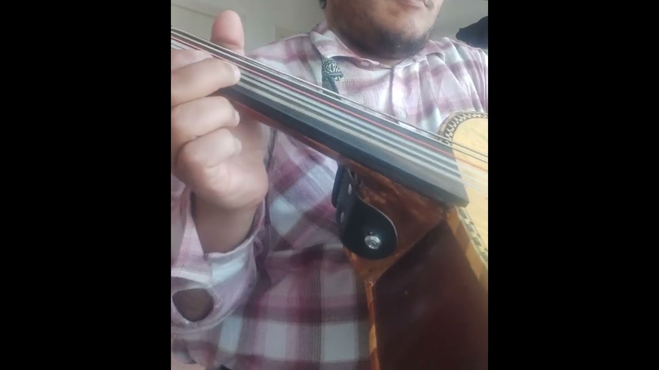El Son de la Negra | Cover guitarron  🇲🇽 ( se me acaba la bateria del parlante ) xd