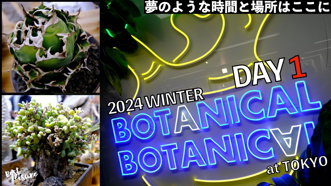 【BOTANICAL BOTANICAL】DAY1 - 何度行っても最高潮に楽しめるイベント1日目をとにかく堪能してきた｜塊根植物｜多肉植物｜アガベ｜パキポディウム｜ボタニカルボタニカル