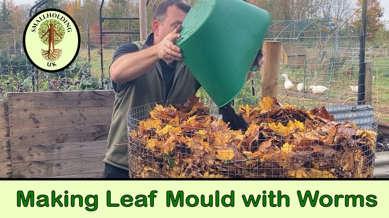 Making Leaf Mould with Worms No Dig Garden | Gardener’s Gold
