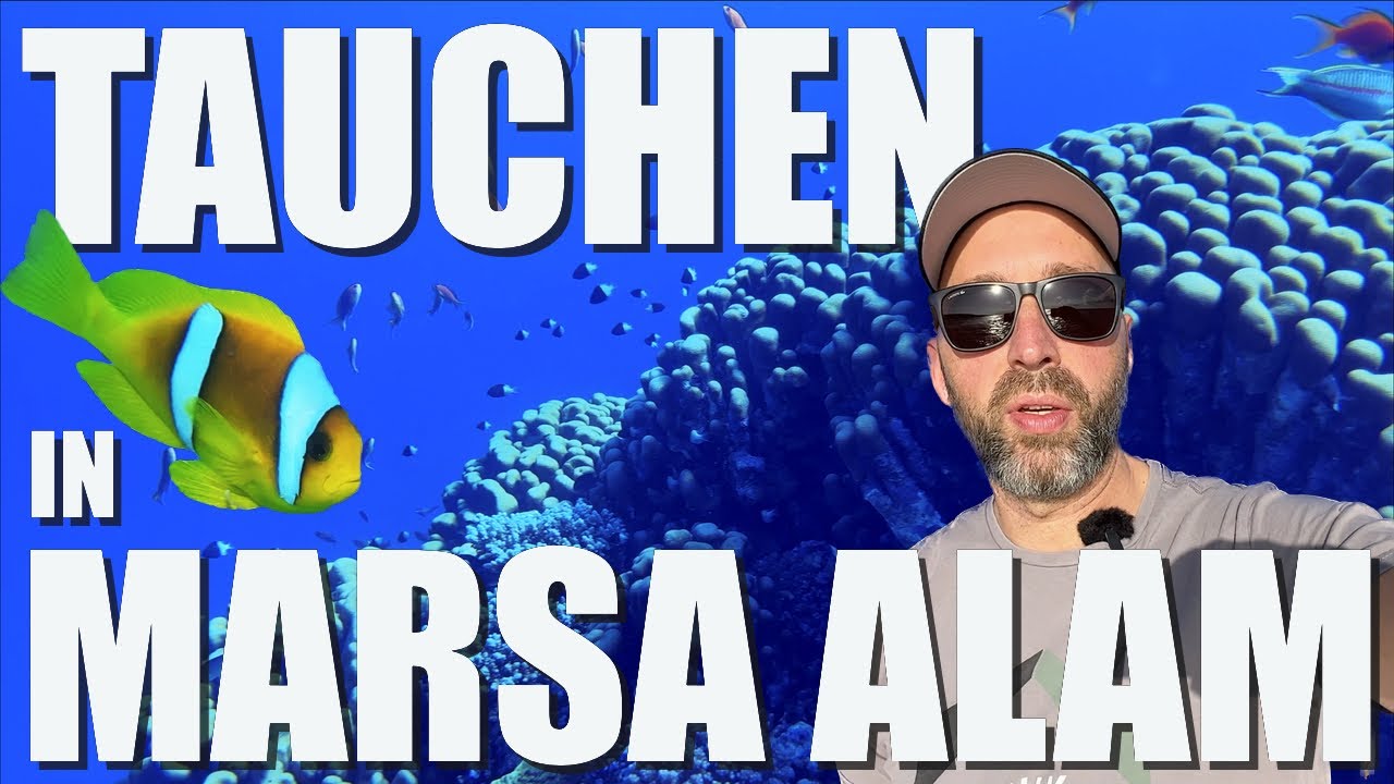 Tauchen in ÄGYPTEN 2023 - Teil 1/4 - Das HAUSRIFF des Three Corners Sea Beach