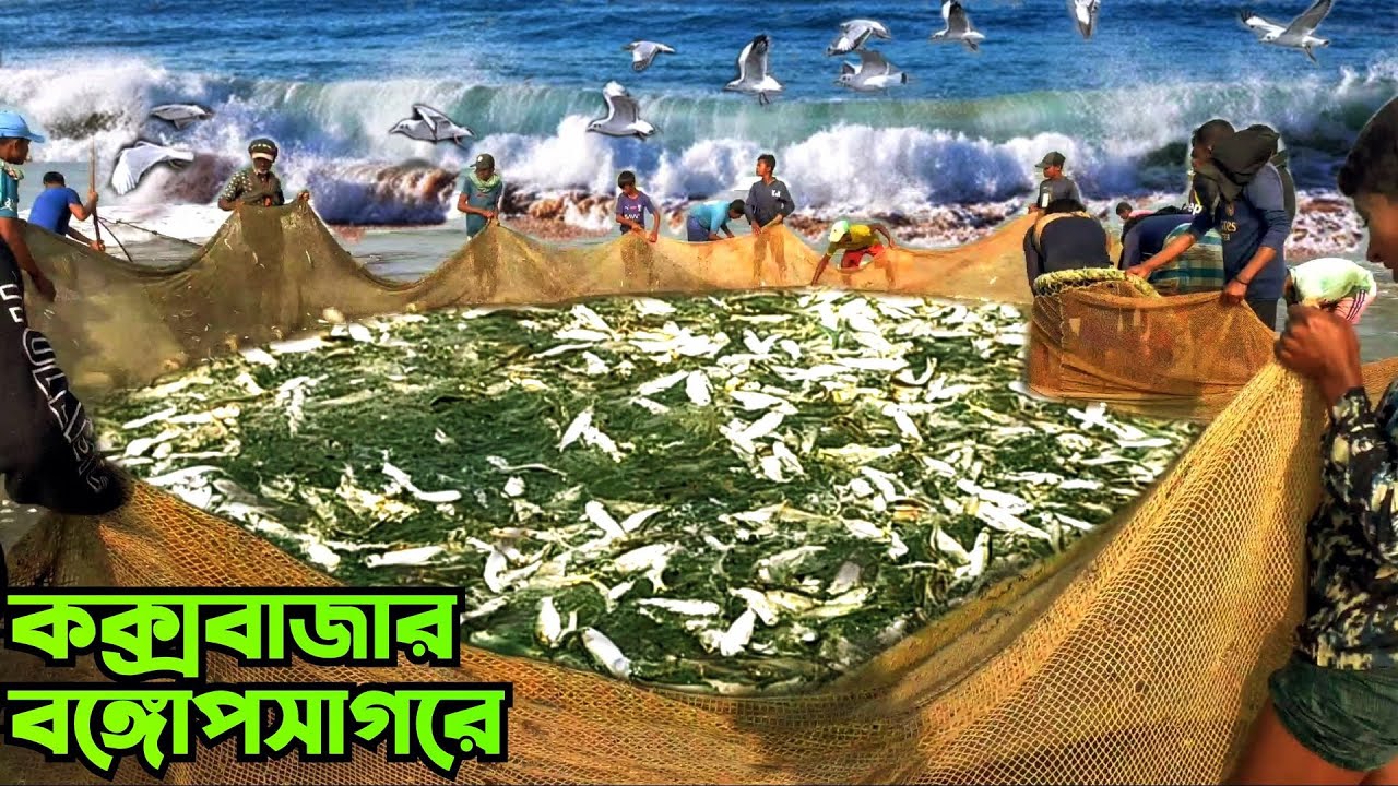 fishing videos bangla ✅ কক্সবাজার টেকনাফ বঙ্গোপসাগরে টানা জাল দিয়ে মাছ ধরা fish video
