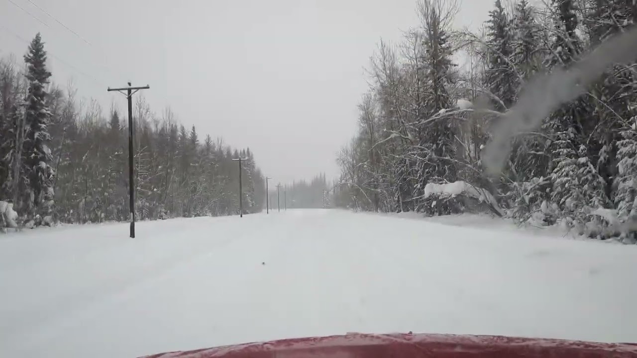 🔴 REC by Dash Cam Travel – 2026-02-23 16:35:17