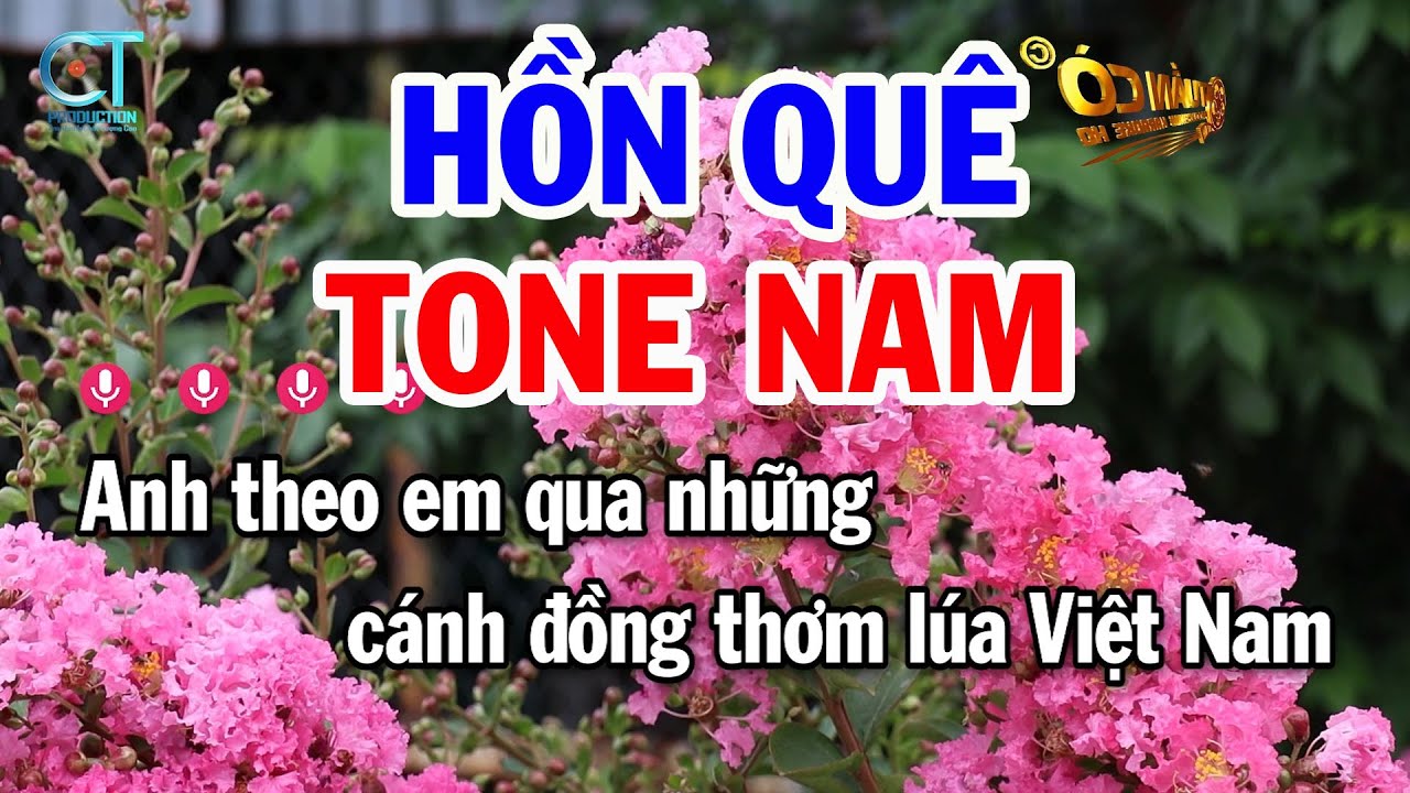 Karaoke Hồn Quê Tone Nam ( C ) Nhạc Sống Tuấn Cò
