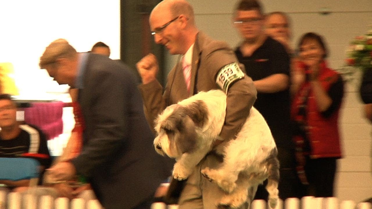 Around the Dog World - Best of 2012 Exteneded Director's Cut