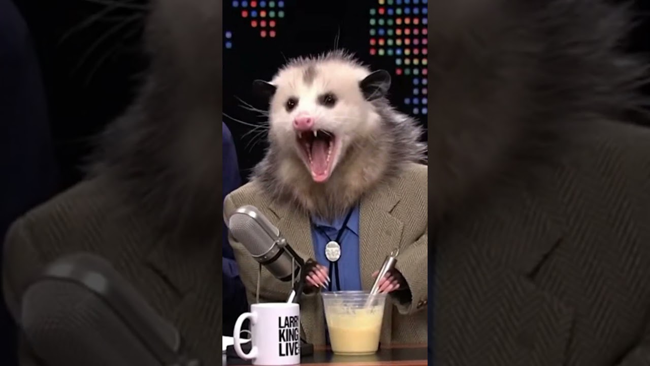 Possum gets angry on Larry king live 