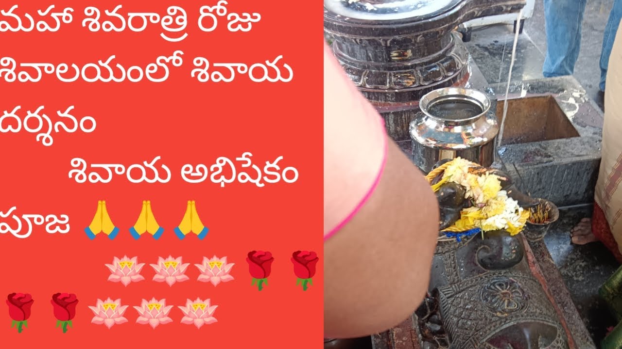 మహా శివరాత్రి రోజు శివాలయంలో శివాయ అభిషేకం దర్శనం 🪷🙏🪷🙏#puja video #Trending puja video #youtubevideo