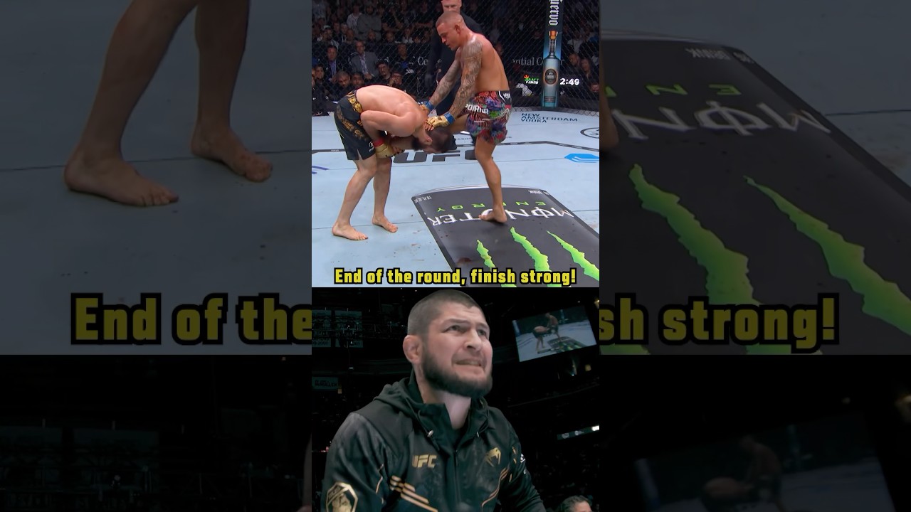 Хабиб в углу &mdash; залог ПОБЕДЫ 🤩 #UFC311