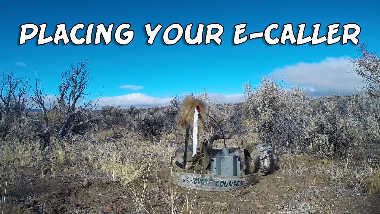 Placing your electronic caller