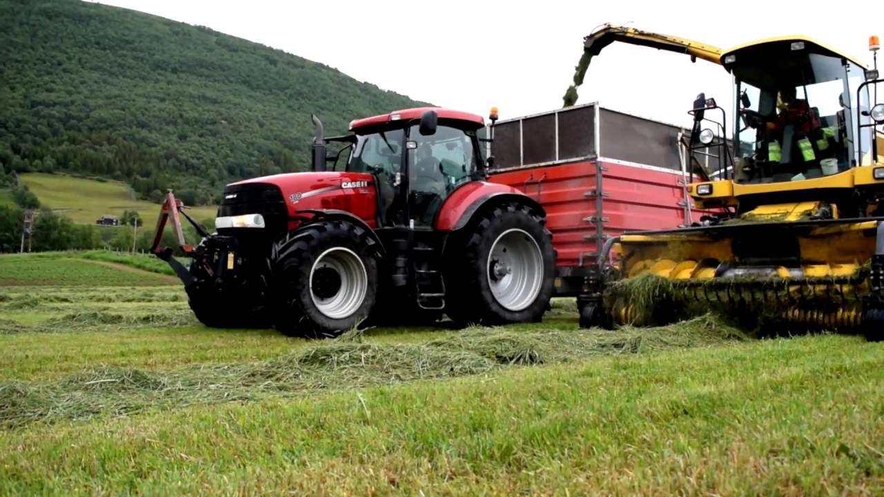 Slåttonn i godt selskap på Oppdal!