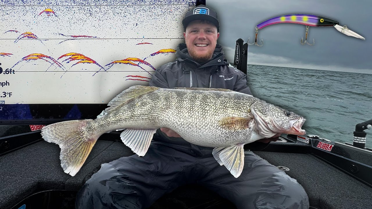 BEST Technique for Fishing Schools of GIANT Lake Erie Walleyes!
