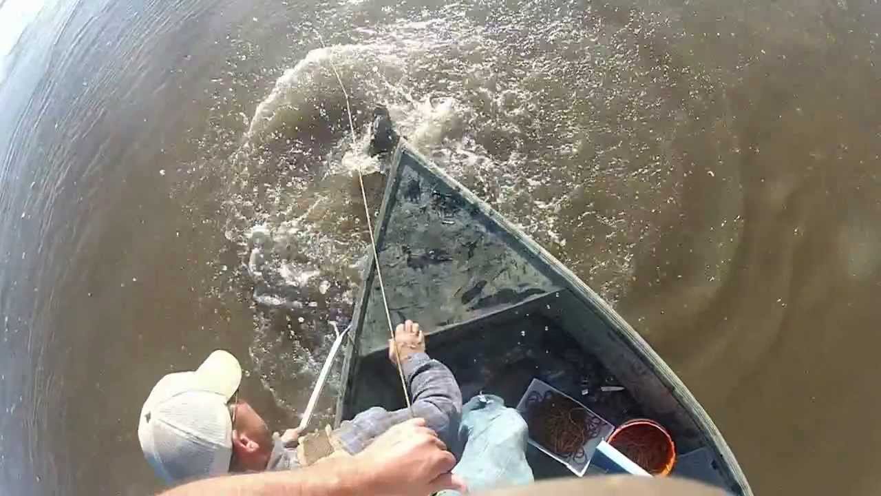 Trotlines on the Mississippi River