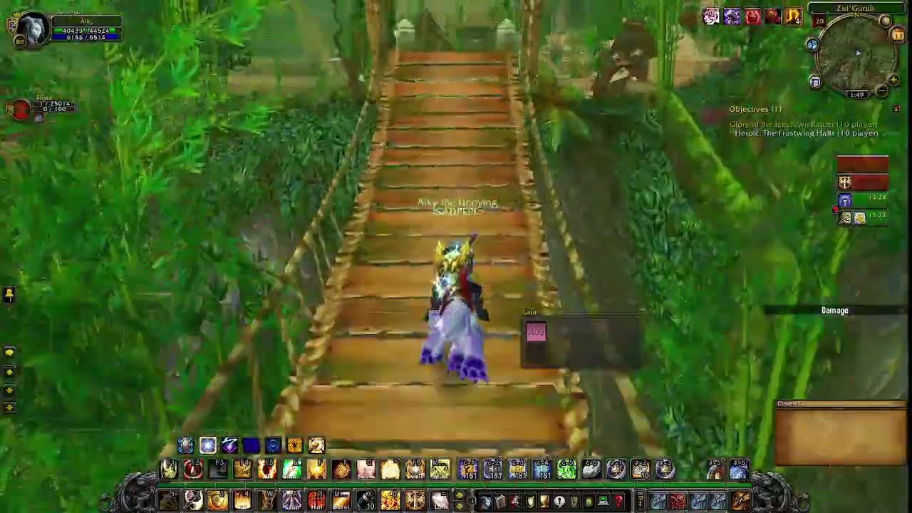 Warmane Wotlk: How to Solo farm ZG mount as a Prot paladin (Raptor)