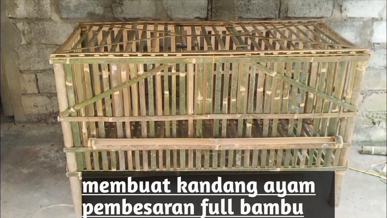 Cara Membuat Kandang Ayam Pembesaran Dari Bambu | untuk ayam kampung