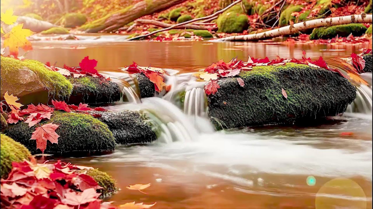 Peaceful River Sound for Deep Sleep | Natural Therapy for Better Wellness and Health