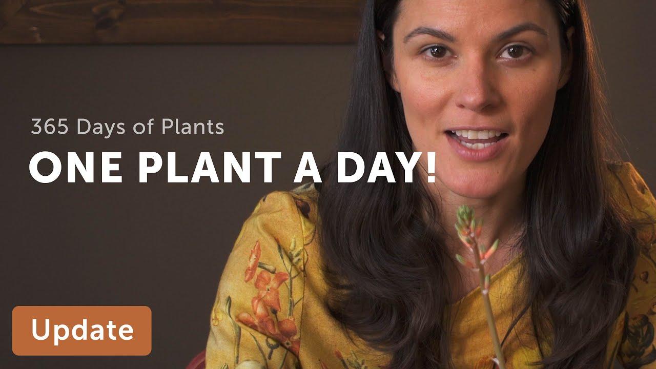 One Plant a Day: 365 Days of Plants!!!