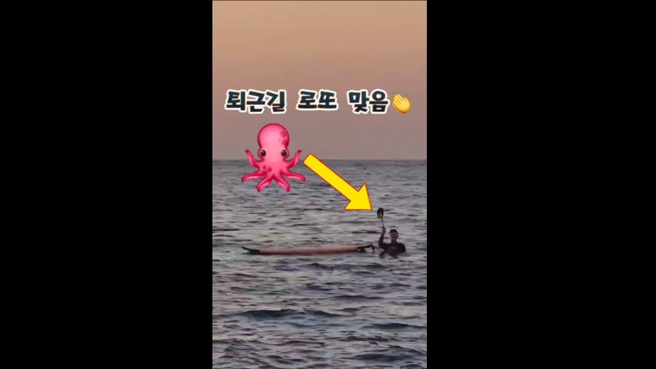 아빠 언제 와? 😭 노을 질 때까지 씨놀맨아빠를 기다린 아이들... 그 끝에 마주한 역대급 선물! 🐙 #제주씨놀맨
