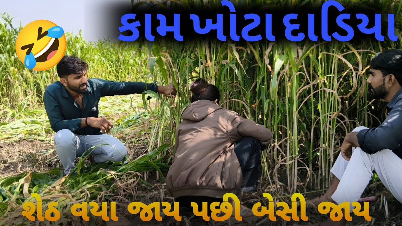 પેટ ખોટા દાડિયા 