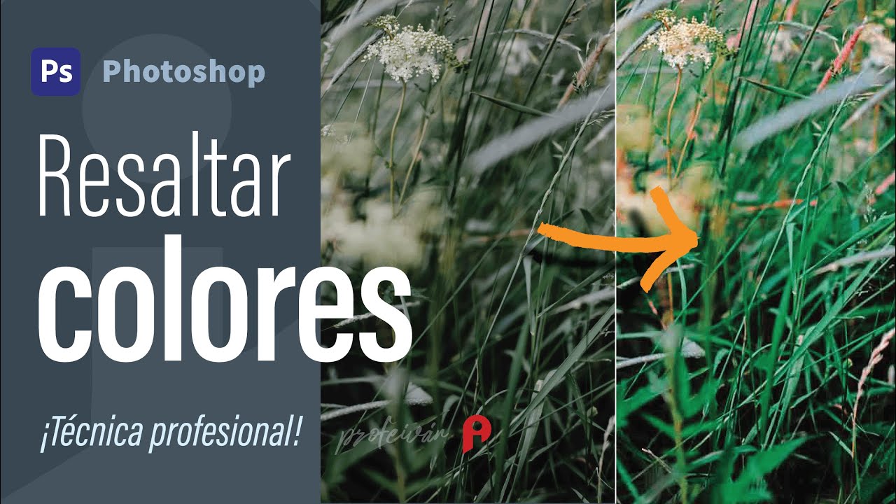 🔥 Resaltar color en Photoshop - Técnica profesional