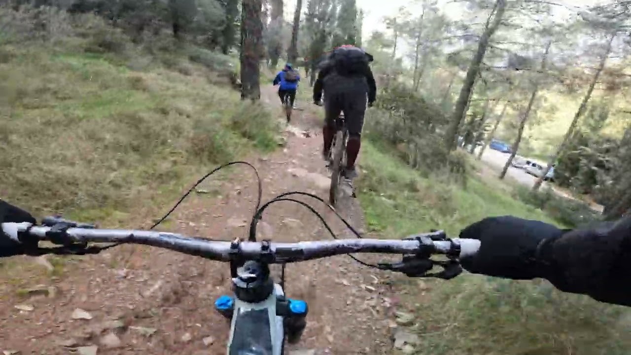 Trail Rebels - Roots and rocks trail