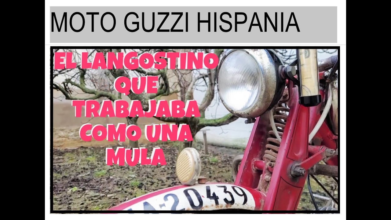 MOTO GUZZI HISPANIA  EL LANGOSTINO QUE TRABAJABA COMO UNA MULA. PRIMERA PARTE