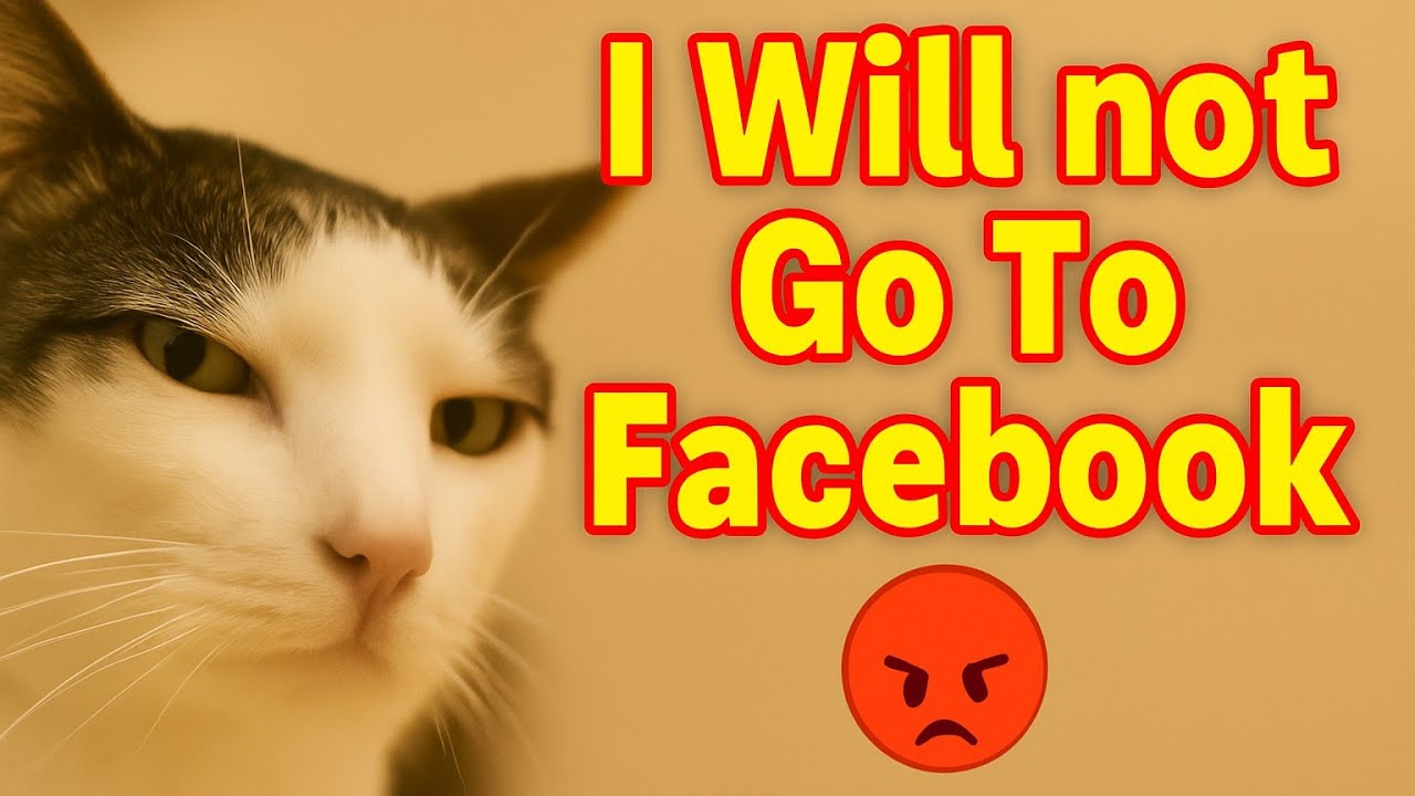 Facebook e Jabona – The Cockroach Song 🦗