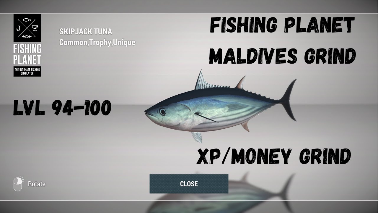 Stationary XP Location Tutorial | Fishing Planet Maldives