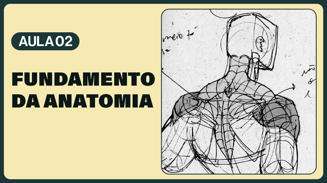 Anatomia para Desenho - 7 Fundamentos 💪 Da Cópia ao Desenho de Imaginação (Curso de Desenho, AULA 2)