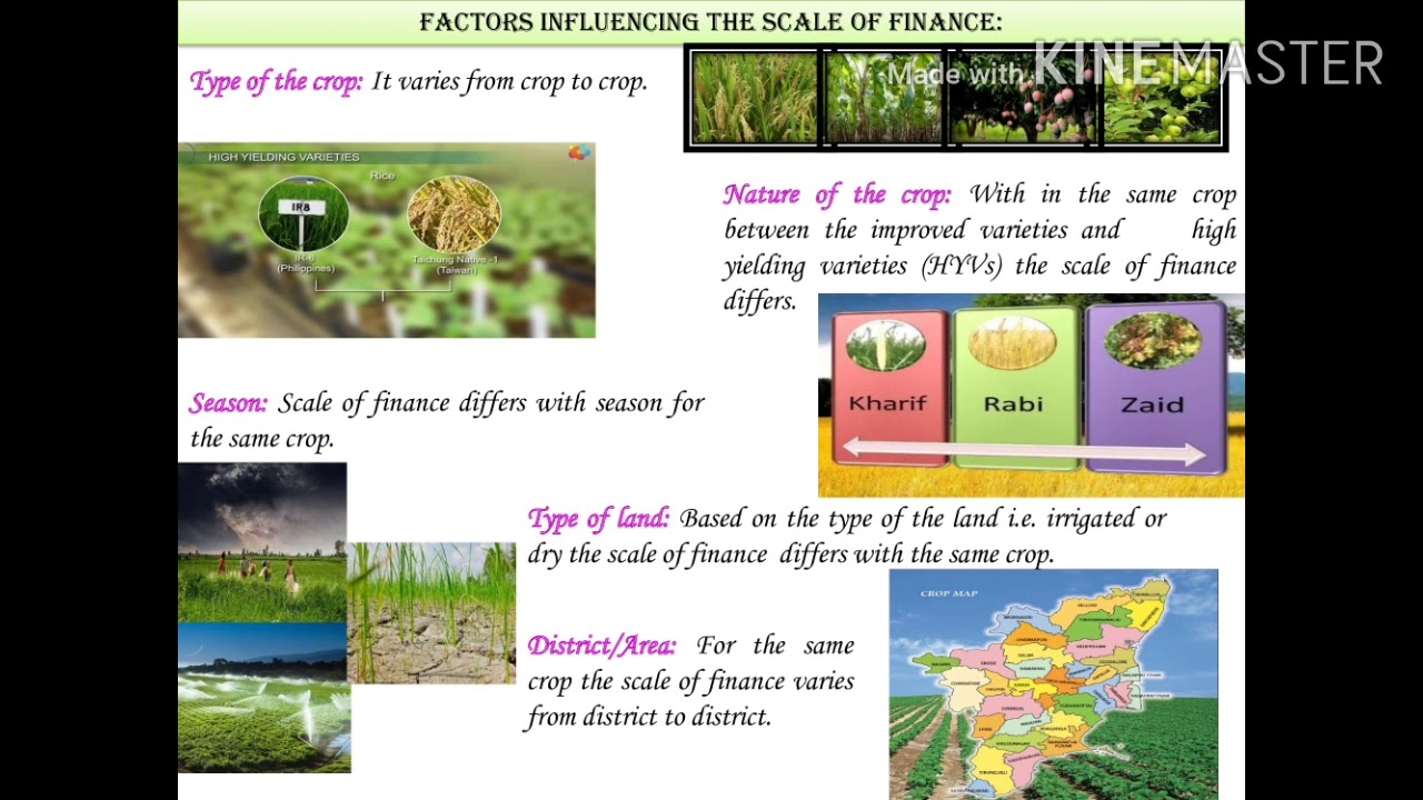 scale of finance