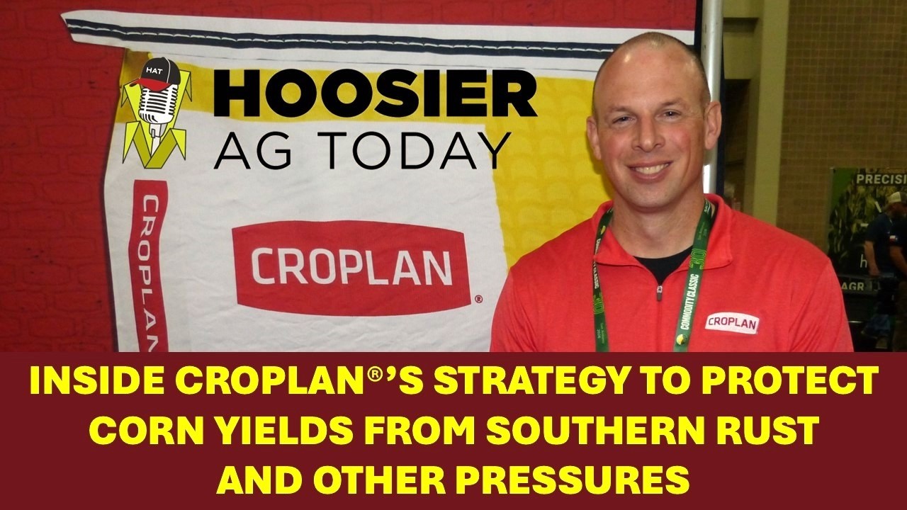 Inside CROPLAN®’s Strategy to Protect Corn Yields From Southern Rust and Other Pressures