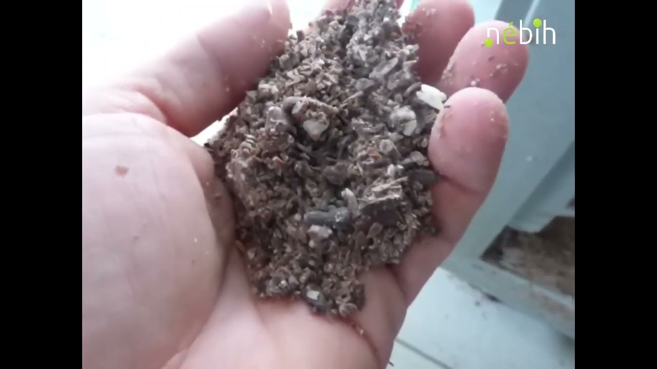 A Nébih felfüggesztette egy édességgyártó működését