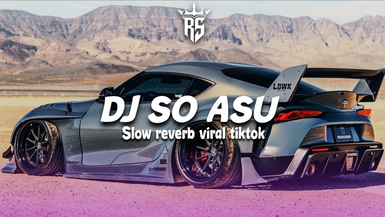 DJ SO ASU SLOW REVERB || VIRAL TIKTOK || Rsvnky 