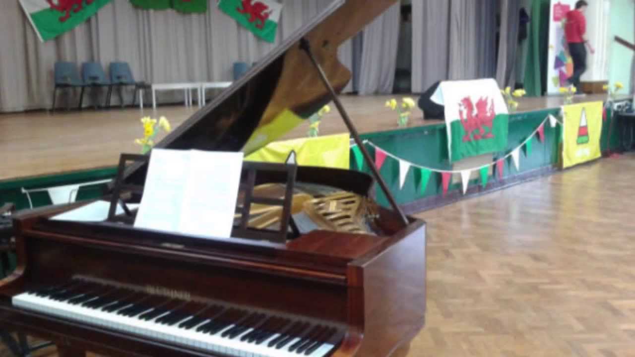 2012 Urdd Eisteddfod - Dylan Drew
